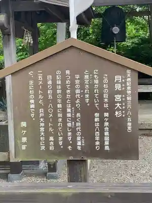 春日神社(岐阜県)