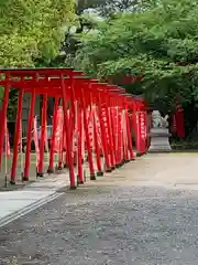 於菊稲荷神社の鳥居