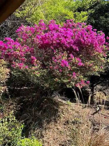 木舟山　順教寺の庭園