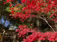 滑川神社 - 仕事と子どもの守り神の自然