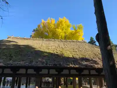 新宮熊野神社のその他建物
