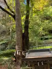 貴船神社の自然