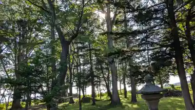 北龍神社の自然