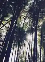 高台寺(高台寿聖禅寺・高臺寺)の自然