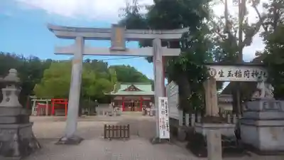 生玉稲荷神社の鳥居
