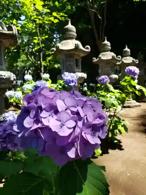 妙法寺(東京都)