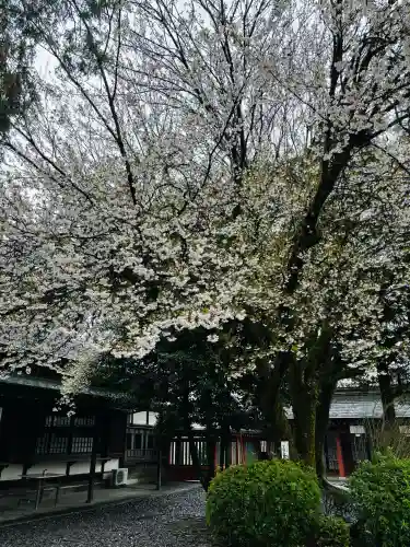 富士山本宮浅間大社の{uncategorized: "未分類", other: "その他", undefined: "問題あり", building: "その他建物", grave: "お墓", sacred_gate: "鳥居", guardian: "狛犬", statue: "像", buddha: "仏像", history: "歴史", nature: "自然", garden: "庭園", animal: "動物", pagoda: "塔", temizu: "手水舎", mountain_gate: "山門・神門", sanctuary: "本殿・本堂", subordinate: "末社・摂社", art: "芸術", scenery: "景色", jizo: "地蔵", ema: "絵馬", goshuin: "御朱印", omikuji: "おみくじ", items: "授与品その他", amulet: "お守り", goshuincho: "御朱印帳", eats: "食事", festival: "お祭り", votive_dance: "神楽", shichigosan: "七五三参", wedding: "結婚式", experience: "体験その他", initially: "初詣", around: "周辺", anti_infection: "感染症対策"}