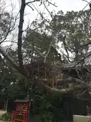 大津神社の建物その他