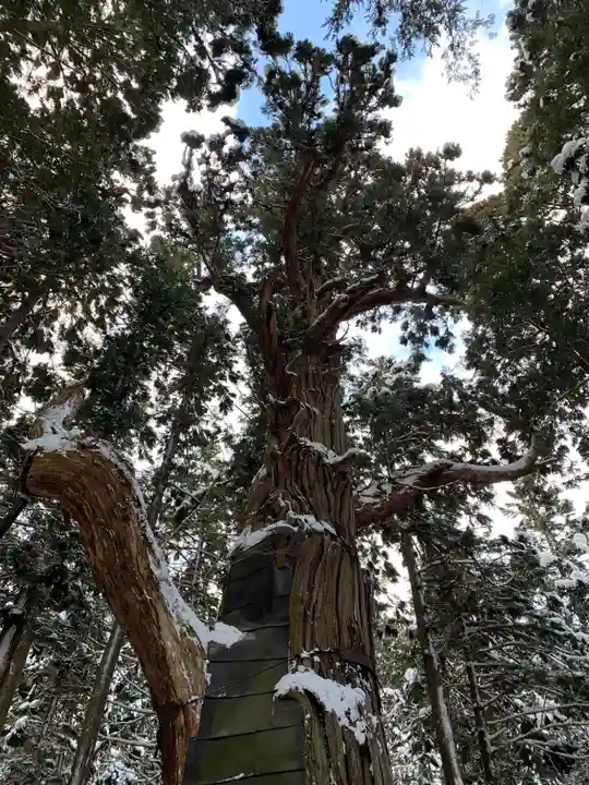 志和稲荷神社の自然