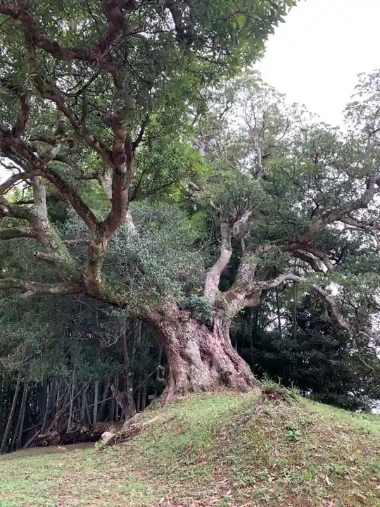 角田権現(千葉県)