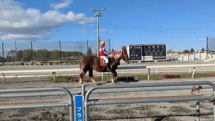 十勝輓馬神社の動物