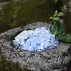 帯廣神社の手水