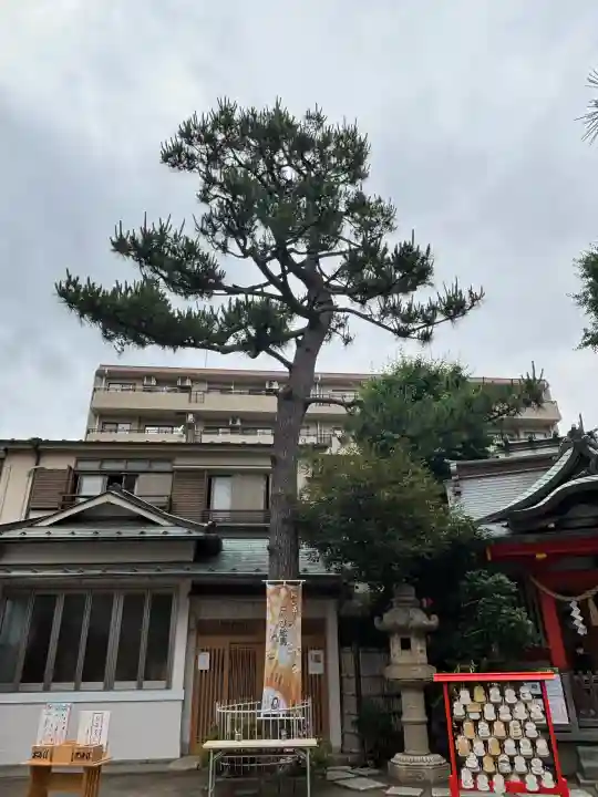 蒔田杉山神社(神奈川県)