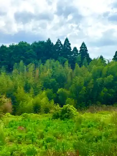 小坂熊野神社(茨城県)