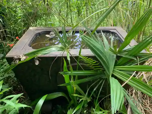 大山祇神社の手水舎