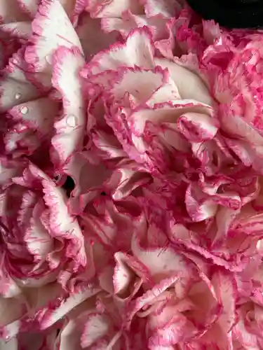 上尾御嶽神社(埼玉県)