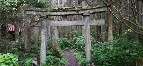 西光寺（秋保大滝不動尊）の鳥居