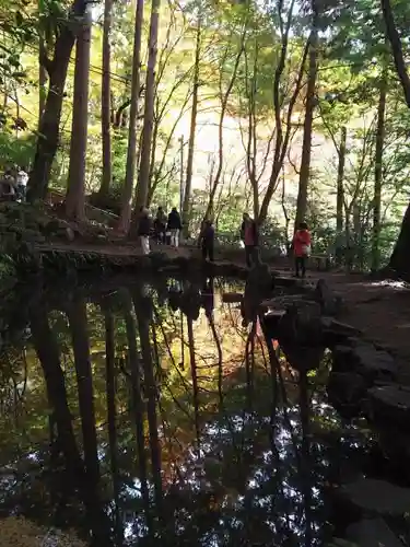 大矢田神社の庭園