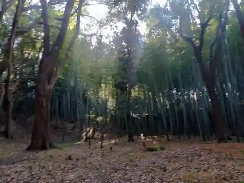 三女神社(京都府)
