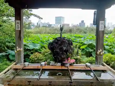 寛永寺不忍池弁天堂(東京都)