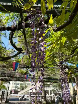 國領神社(東京都)