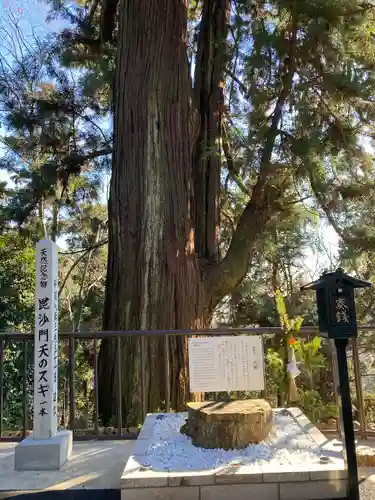  大岩山 最勝寺(栃木県)