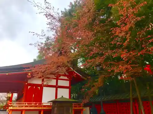 伏見稲荷大社の自然