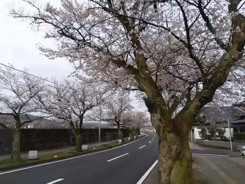 湊八幡神社(福井県)