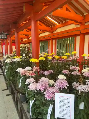 武蔵一宮氷川神社(埼玉県)