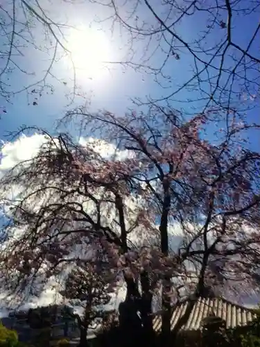 最勝寺(東京都)