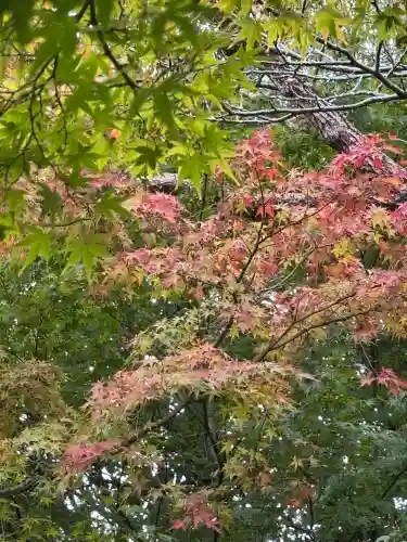 縣居神社(静岡県)