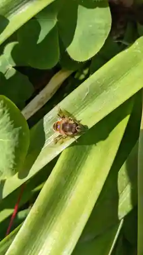 極楽寺(愛知県)