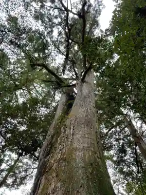 圓教寺(兵庫県)