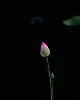 浄土寺(兵庫県)