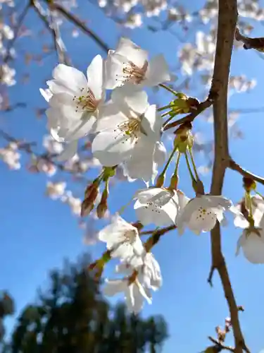 鹿嶋三嶋神社(茨城県)