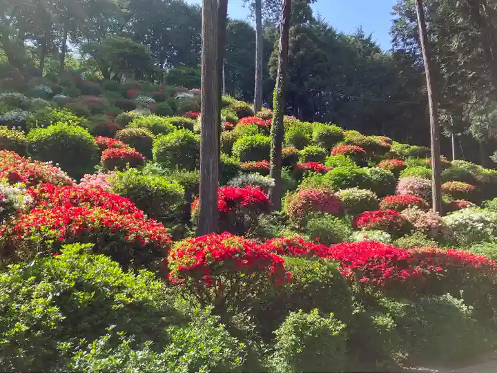 七国山薬王寺の自然