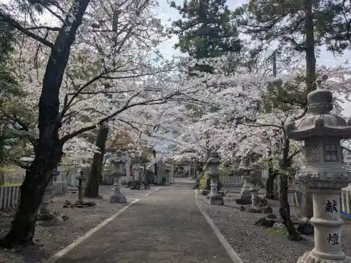 多岐神社(岐阜県)