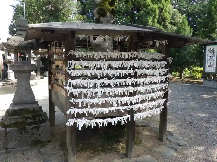 姉倉比賣神社のおみくじ