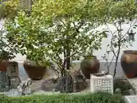 仙宗寺(京都府)