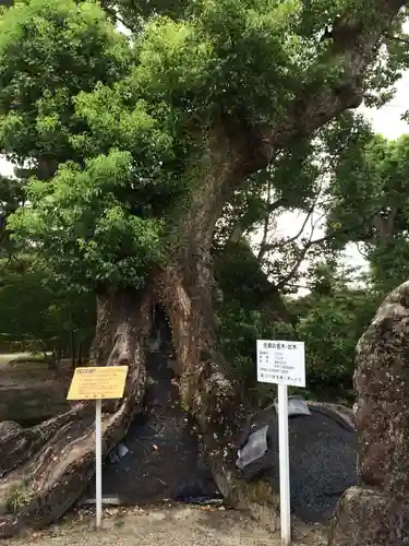 高伝寺(佐賀県)