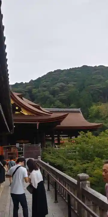清水寺の本殿・本堂