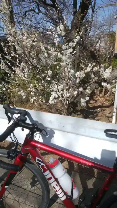 検見川神社(千葉県)