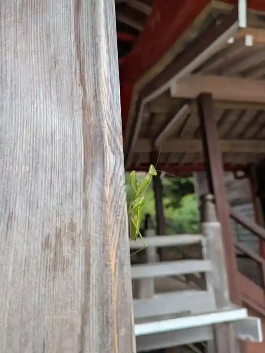 金蛇水神社(宮城県)
