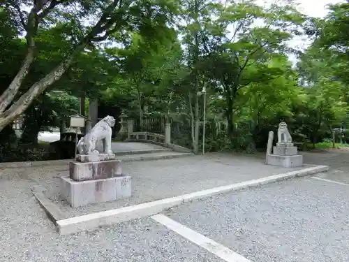 中山神社の狛犬