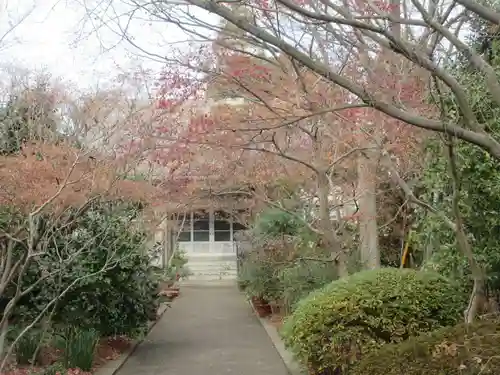 薬師寺(東京都)