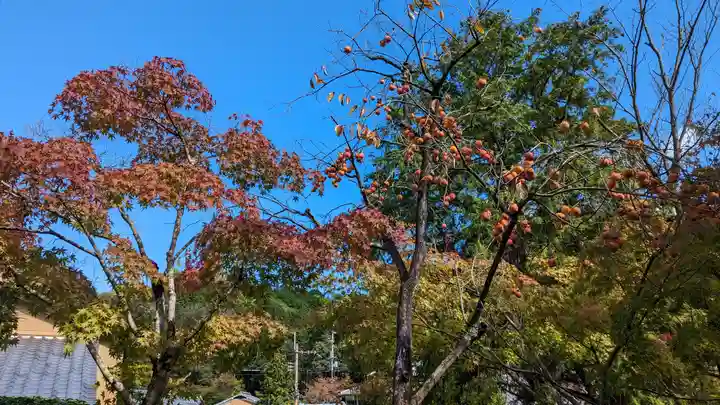 化野念仏寺(京都府)