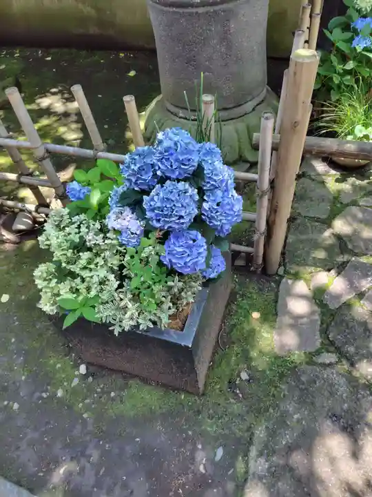 上野東照宮(東京都)