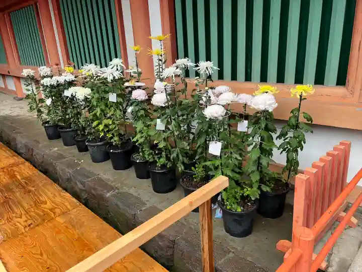武蔵一宮氷川神社(埼玉県)