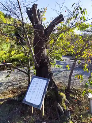 満願寺(兵庫県)