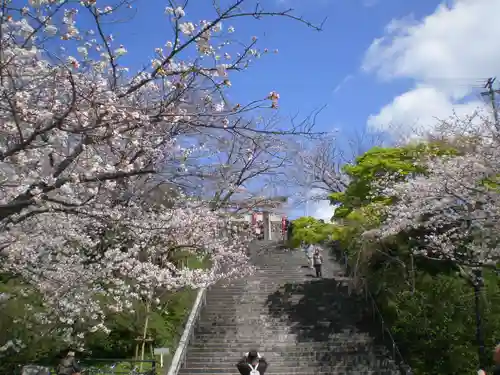 光雲神社の自然